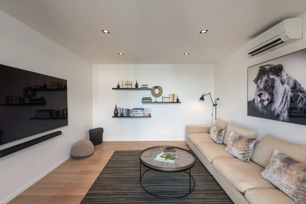 The TV room