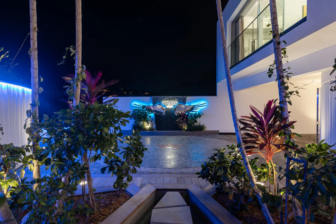 The entrance path between the palm trees at night